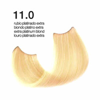 Passion & Color HI-TECH - Farba do włosów Nr.12.0 (Nr.11.0) 100ml