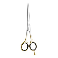 Nożyczki fryzjerskie Jaguar PERFECT 5,5" SILVER LINE