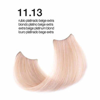 Passion & Color HI-TECH - Farba do włosów Nr.11.13 100ml