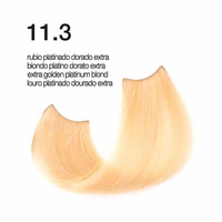 Passion & Color HI-TECH - Farba do włosów Nr.11.3 100 ml