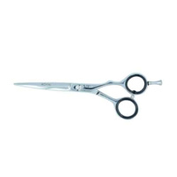 Nożyczki fryzjerskie ROYAL 6" SILVER