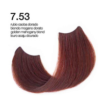 Passion & Color HI-TECH - Farba do włosów Nr.7.53 100ml