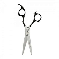 Nożyczki fryzjerskie EVOQUE TITANIUM 6' ARTERO