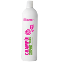 BLUMIN - RASPBERRY & MINT SHAMPOO - Szampon malina i mięta do odżywienia włosów farbowanych 1000 ml