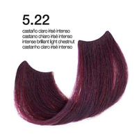 Passion & Color HI-TECH - Farba do włosów Nr.55.22 (Nr.5.22) 100ml